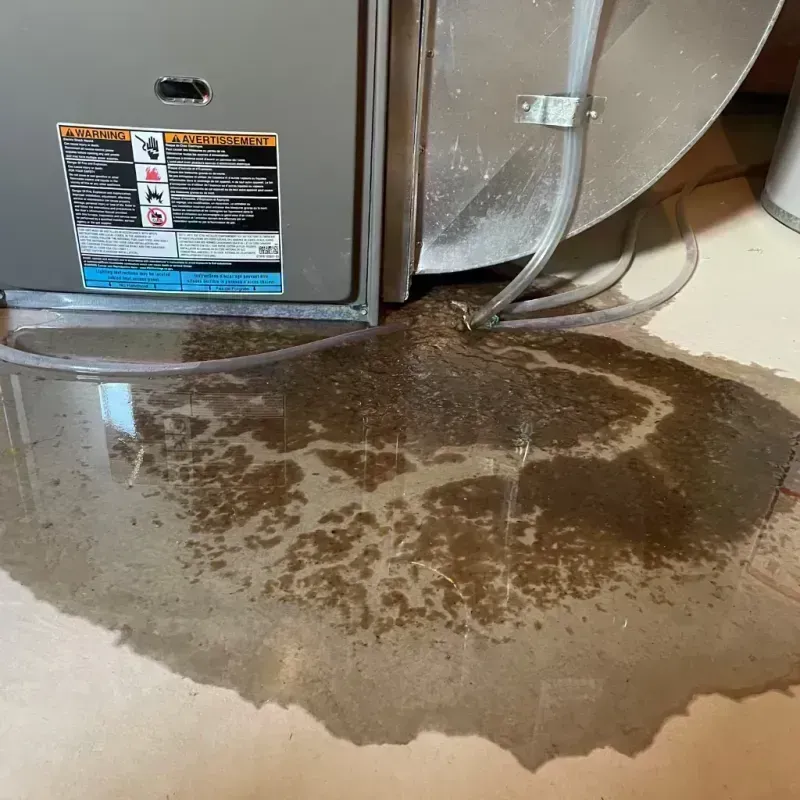 Appliance Leak Cleanup in Saint Clair County, MI